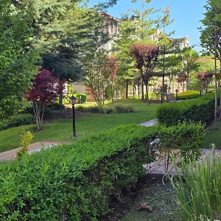 Smokinia Sunrise - Kavatsi Beach,