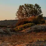 Smokinia - Kavatsi Beach, アパート
