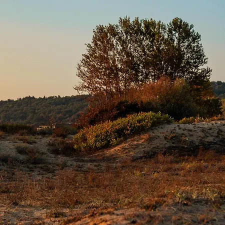 Smokinia - Kavatsi Beach, 아파트